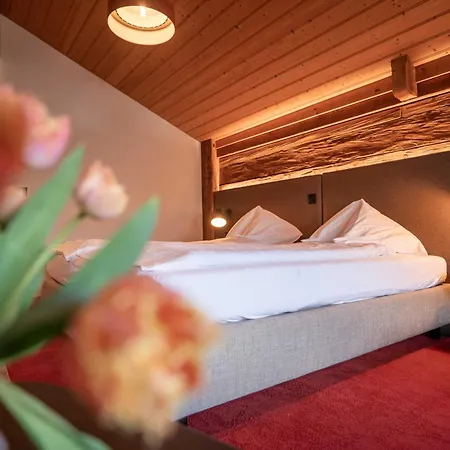 湖畔小屋酒店 3* 伊瑟尔特瓦尔德