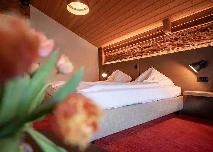 湖畔小屋酒店 3* 伊瑟尔特瓦尔德