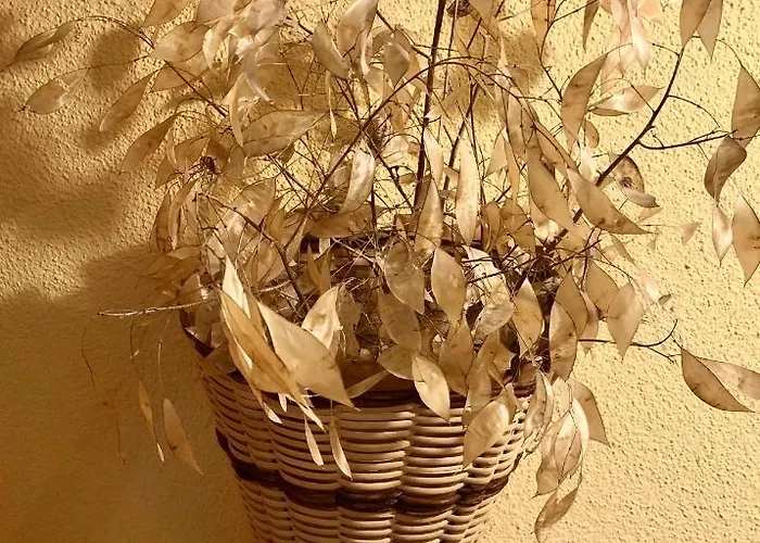 酒店 湖畔小屋酒店