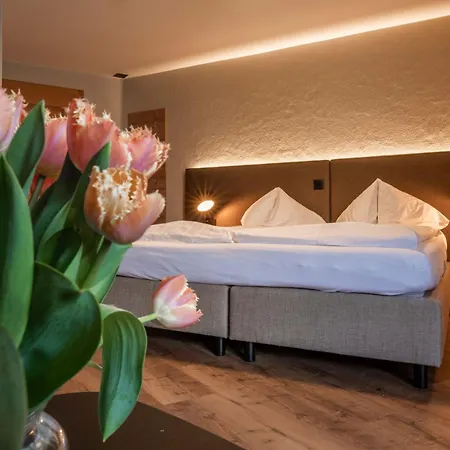 Châlet Du Hotel 3*